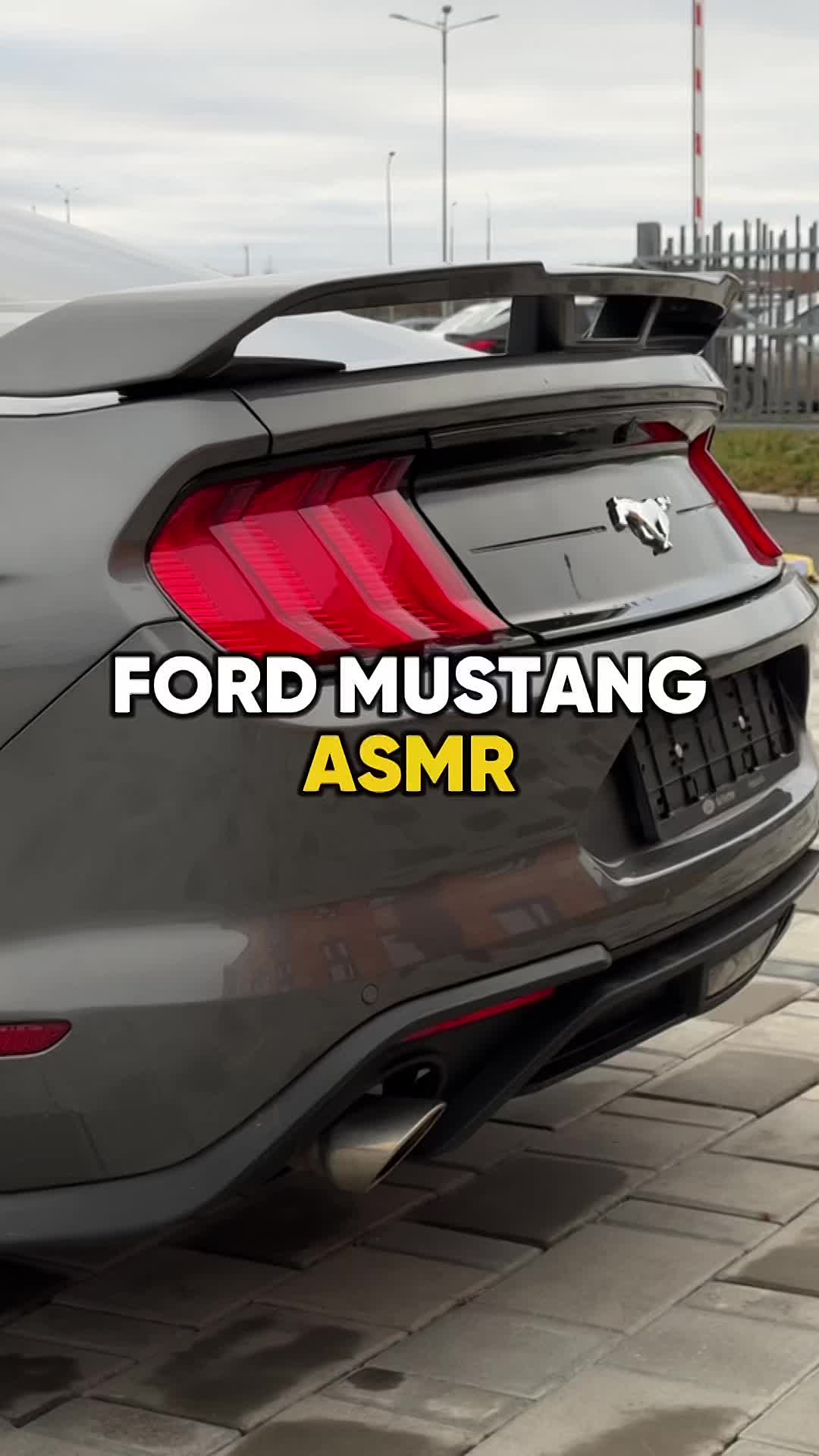 FORD MUSTANG ASMR